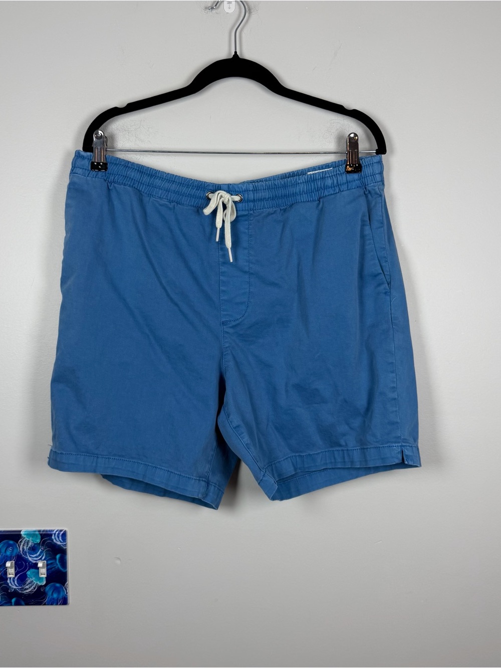 Men’s Pacsun Volley Blue Pull On Shorts Large Coastal Cotton Surfer